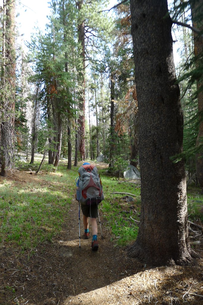 YosemiteCreek 124